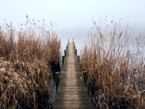 Lakeside in the autumnal fog Lakeside in the autumnal fog
